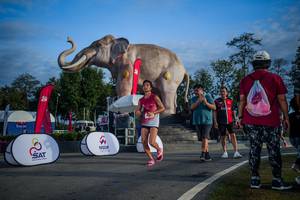 BIB: 
                            <button type="button" onclick="openModal(26541866)" class="btn btn-primary btn-sm float-right btn-popup" data-toggle="modal" data-target=".modal-high-quality">
                        <i class="fas fa-shopping-cart"></i> Add to Cart
                    </button>
                                            <button type="button" onclick="isThisMe(26541866, true)" class="btn btn-success btn-sm float-right btn-popup btn-isme hidden" data-toggle="tooltip" data-placement="bottom" title="นี่คือรูปของคุณใช่ไหม คลิกที่นี่เพื่อเอาเข้าอัลบั้ม">
                        <i class="fas fa-plus"></i> Add to album
                    </button>
                    <button type="button" onclick="isThisMe(26541866, false)" class="btn btn-warning btn-sm float-right btn-popup btn-isnotme hidden">
                        <i class="fas fa-ban"></i> Remove from album
                    </button>